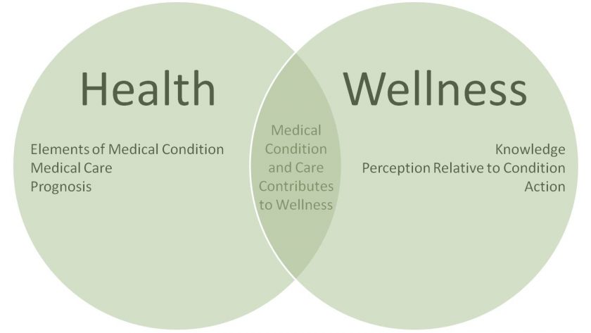Understanding the Difference between Health and Well-Being