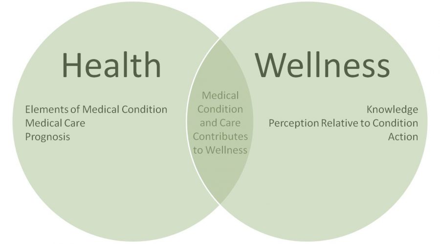 Difference Between Health and Wellness