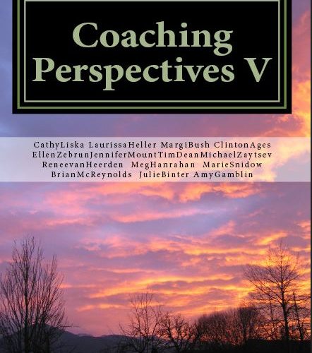 Coaching Perspectives V